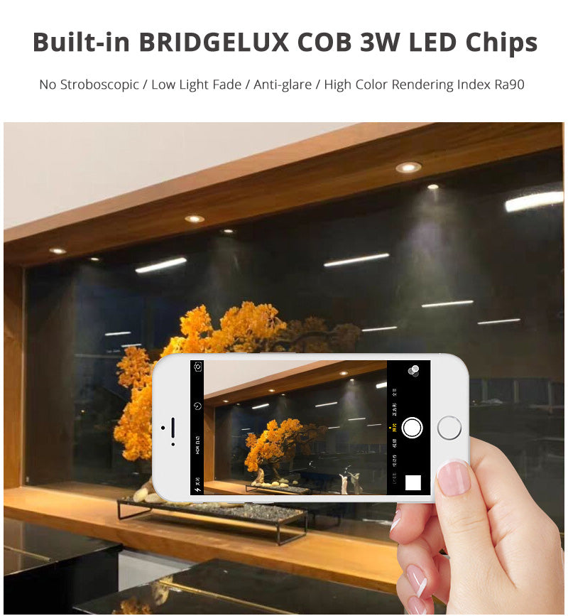 Gold Mini COB LED Spotlights 3W Cutout 35-40mm