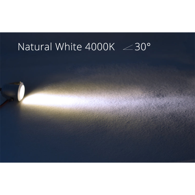 Silver 1W Spot LED Mini Interior Recessed Spotlights Downlight Cut 20mm